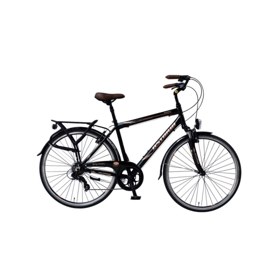 ASTORIA 28 Inch Herenfiets 7 Versnellingen ASTORIA 28 Inch Herenfiets 7 Versnellingen